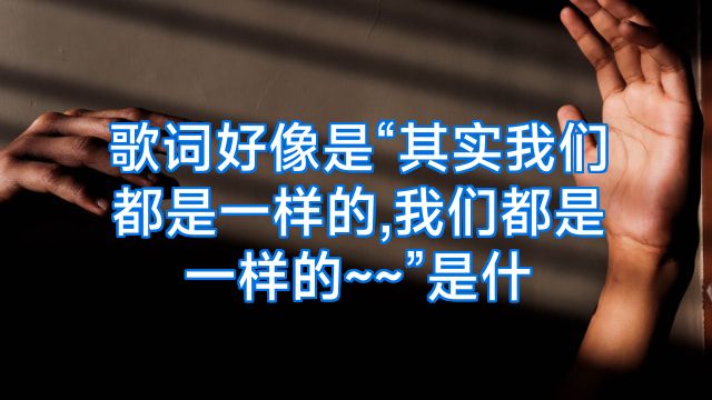 歌词好像是“其实我们都是一样的,我们都是一样的~~”是什