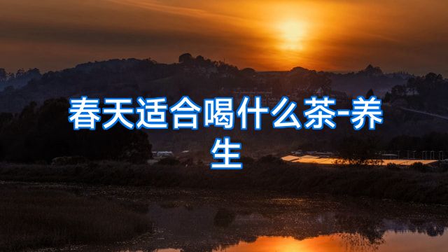 春天适合喝什么茶-养生