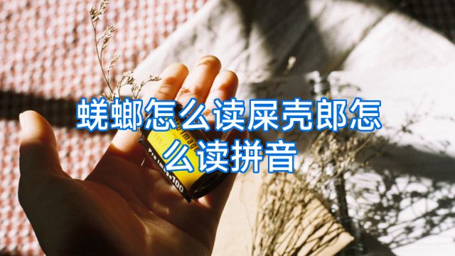 蜣螂怎么读屎壳郎怎么读拼音