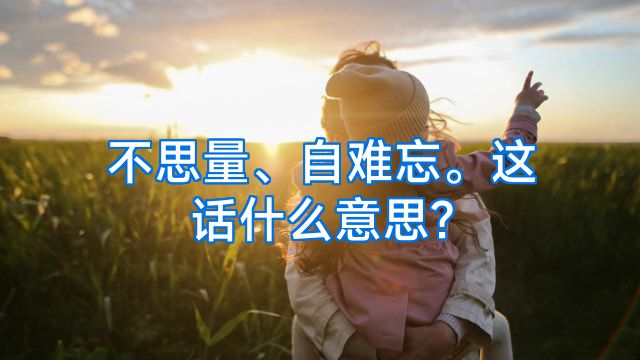 不思量、自难忘。这话什么意思?