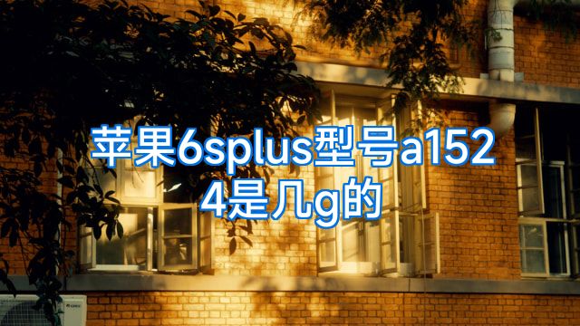 苹果6splus型号a1524是几g的
