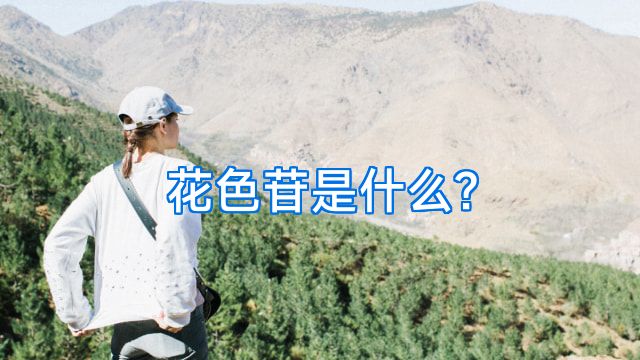 花色苷是什么?
