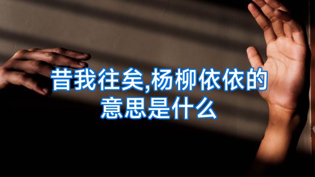昔我往矣,杨柳依依的意思是什么