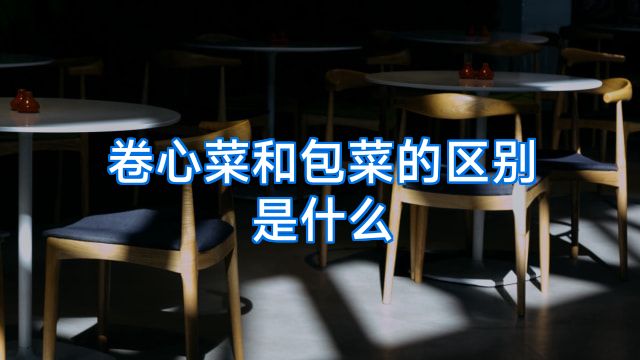 卷心菜和包菜的区别是什么