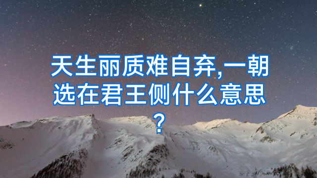 天生丽质难自弃,一朝选在君王侧什么意思?