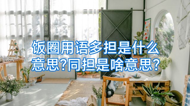 饭圈用语多担是什么意思?同担是啥意思?