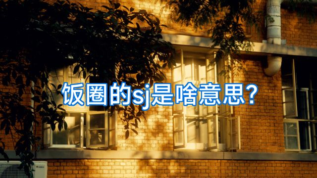 饭圈的sj是啥意思?