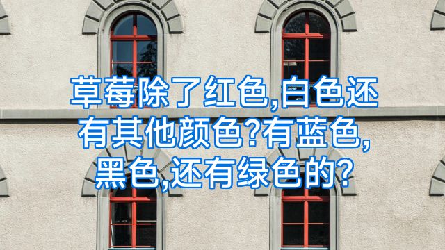草莓除了红色,白色还有其他颜色?有蓝色,黑色,还有绿色的?