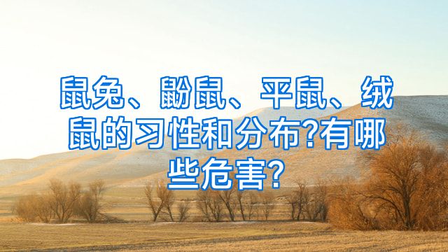 鼠兔、鼢鼠、平鼠、绒鼠的习性和分布?有哪些危害?