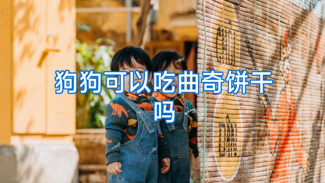 狗狗可以吃曲奇饼干吗