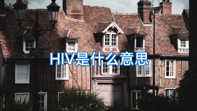 HIV是什么意思