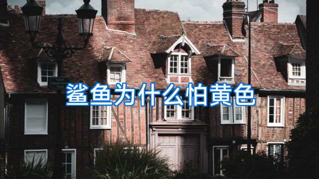 鲨鱼为什么怕黄色