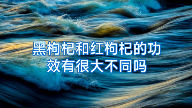 黑枸杞和红枸杞的功效有很大不同吗