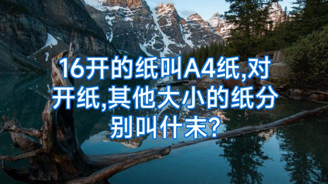 16开的纸叫A4纸,对开纸,其他大小的纸分别叫什末?