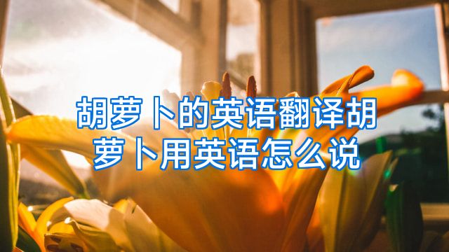 胡萝卜的英语翻译胡萝卜用英语怎么说