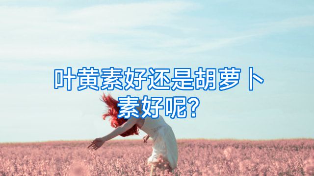 叶黄素好还是胡萝卜素好呢?