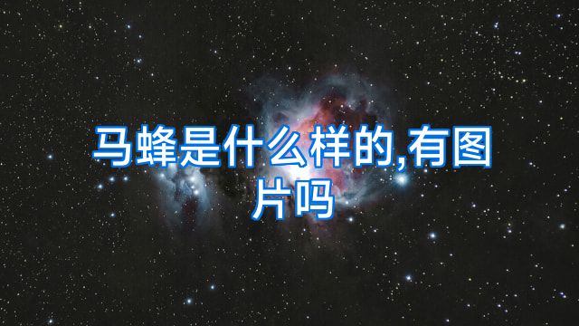 马蜂是什么样的,有图片吗