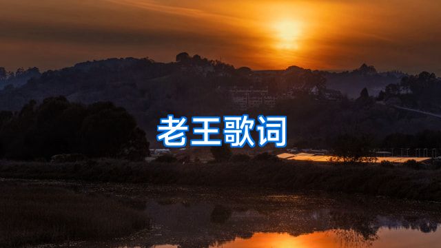 老王歌词