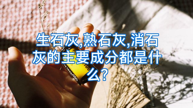 生石灰,熟石灰,消石灰的主要成分都是什么?