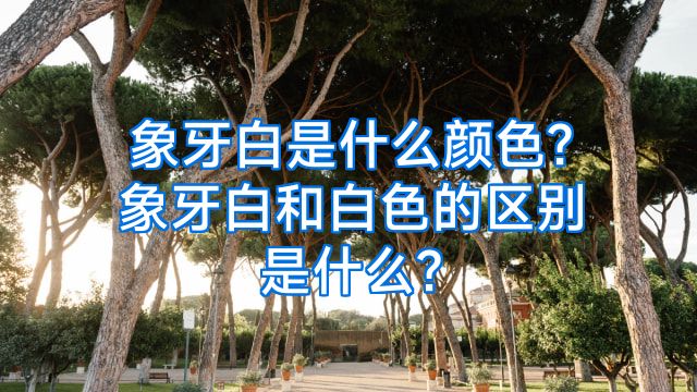 象牙白是什么颜色?象牙白和白色的区别是什么?