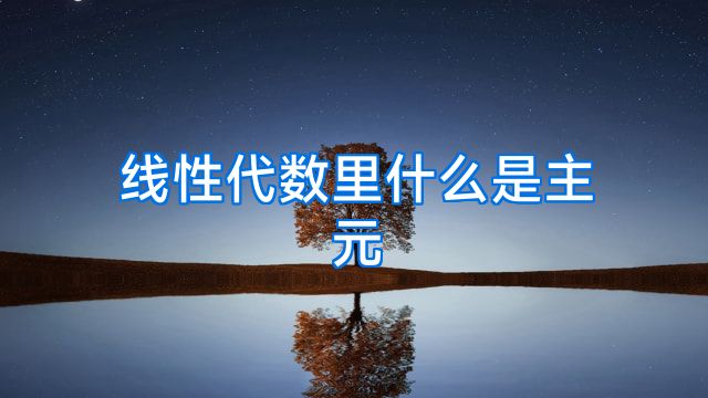 线性代数里什么是主元