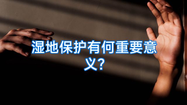 湿地保护有何重要意义?