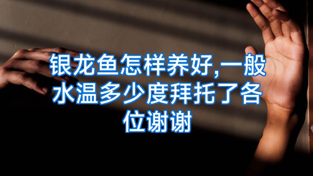 银龙鱼怎样养好,一般水温多少度拜托了各位谢谢