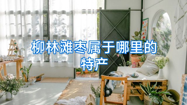 柳林滩枣属于哪里的特产