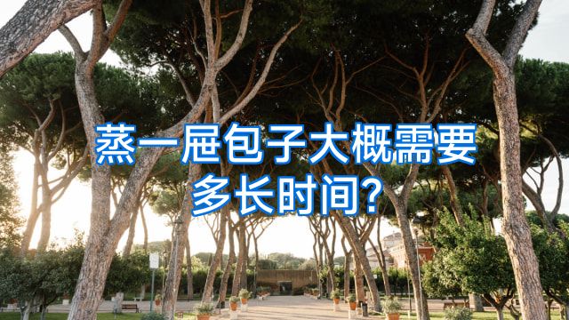 蒸一屉包子大概需要多长时间?