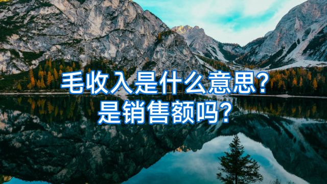 毛收入是什么意思?是销售额吗?