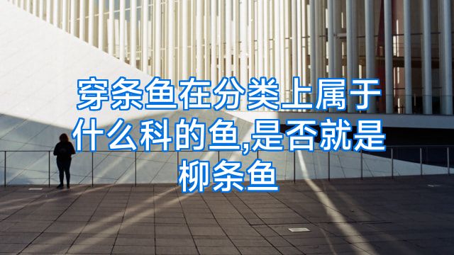 穿条鱼在分类上属于什么科的鱼,是否就是柳条鱼