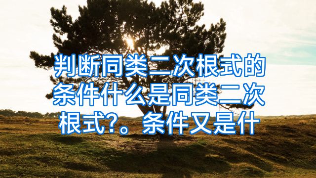 判断同类二次根式的条件什么是同类二次根式?。条件又是什