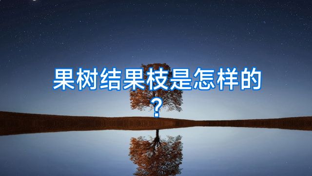 果树结果枝是怎样的?