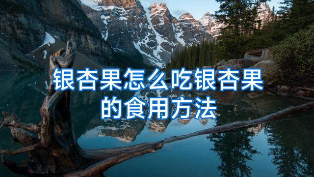 银杏果怎么吃银杏果的食用方法