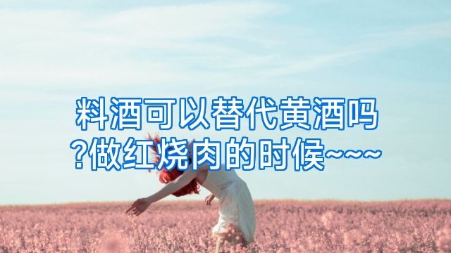 料酒可以替代黄酒吗?做红烧肉的时候~~~