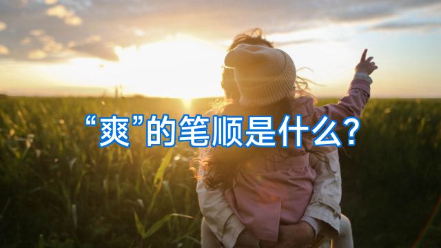 “爽”的笔顺是什么?