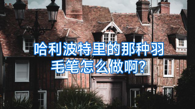 哈利波特里的那种羽毛笔怎么做啊?