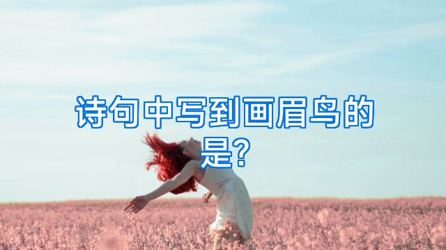 诗句中写到画眉鸟的是?