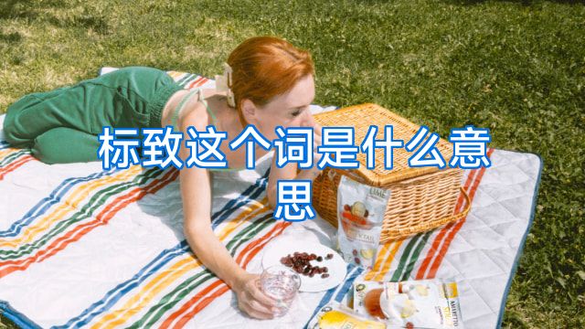 标致这个词是什么意思