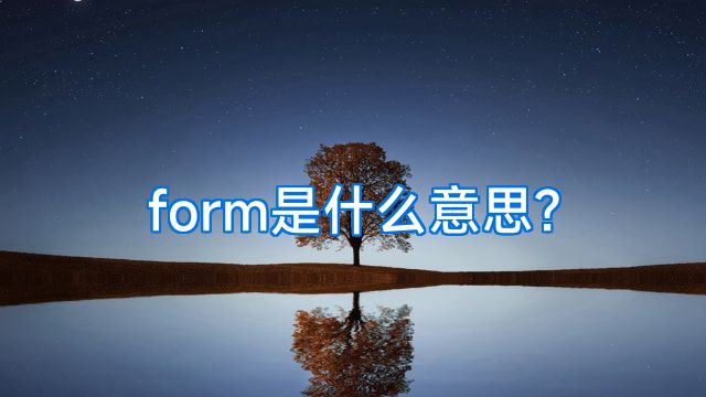 form是什么意思?