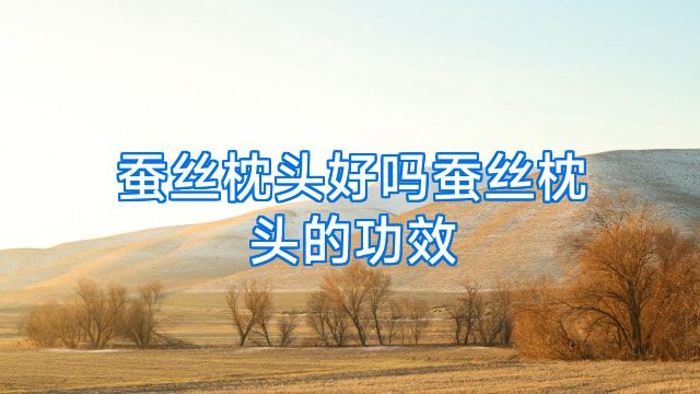 蚕丝枕头好吗蚕丝枕头的功效