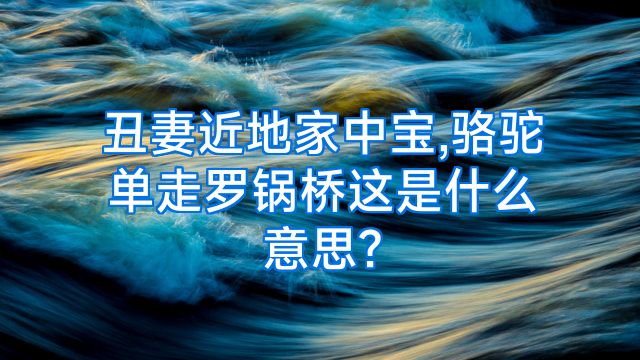 丑妻近地家中宝,骆驼单走罗锅桥这是什么意思?