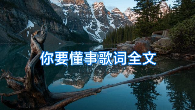你要懂事歌词全文