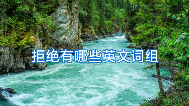 拒绝有哪些英文词组