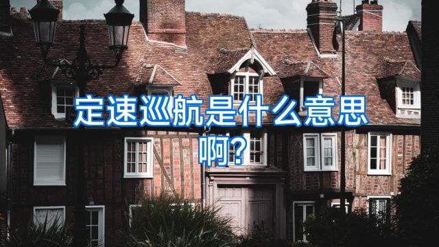 定速巡航是什么意思啊?