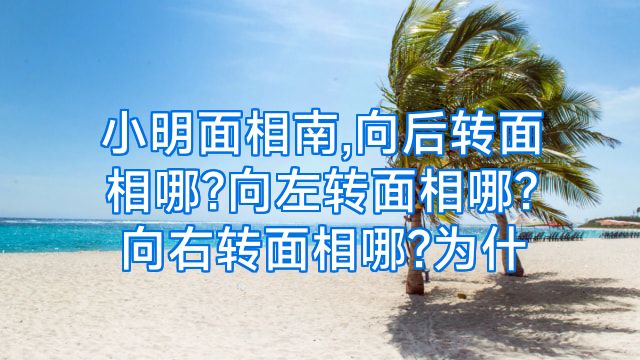 小明面相南,向后转面相哪?向左转面相哪?向右转面相哪?为什