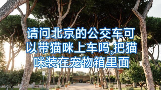 请问北京的公交车可以带猫咪上车吗,把猫咪装在宠物箱里面
