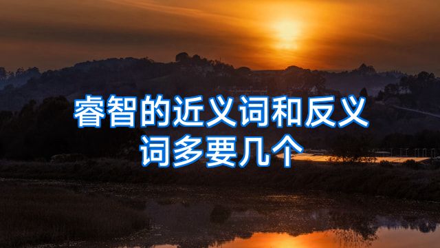 睿智的近义词和反义词多要几个