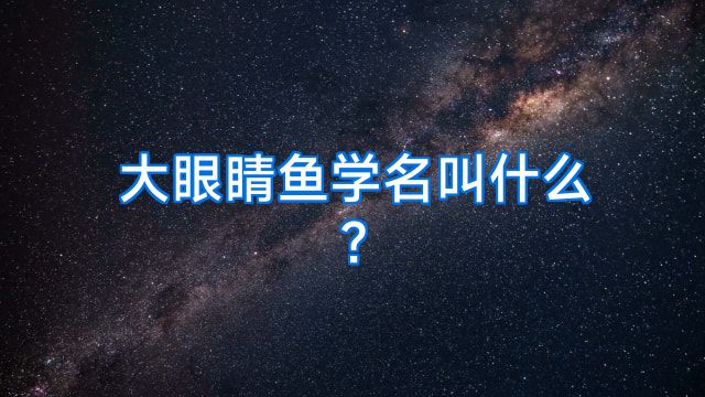 大眼睛鱼学名叫什么?