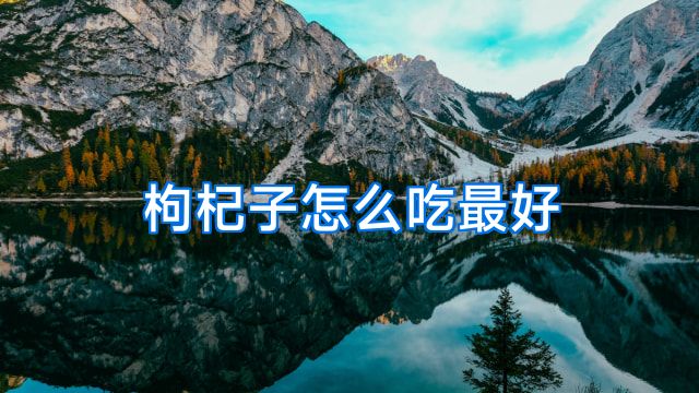 枸杞子怎么吃最好